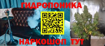 индика Чапаевск