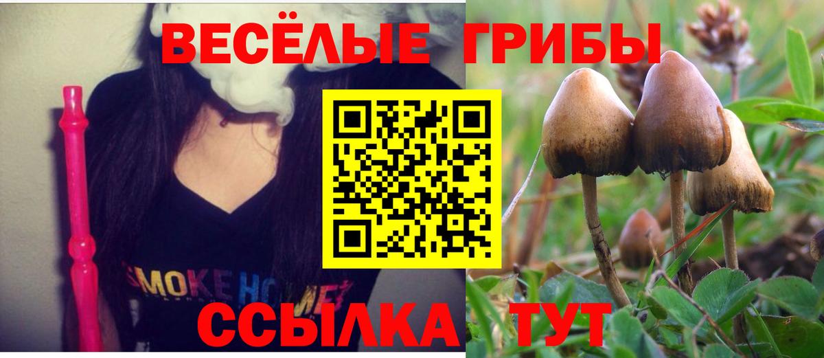 Тверь  Галлюциногенные грибы Cubensis  где купить наркоту  Вход с VPN 